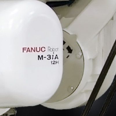 Fanuc M-3iA:12H 2.jpeg