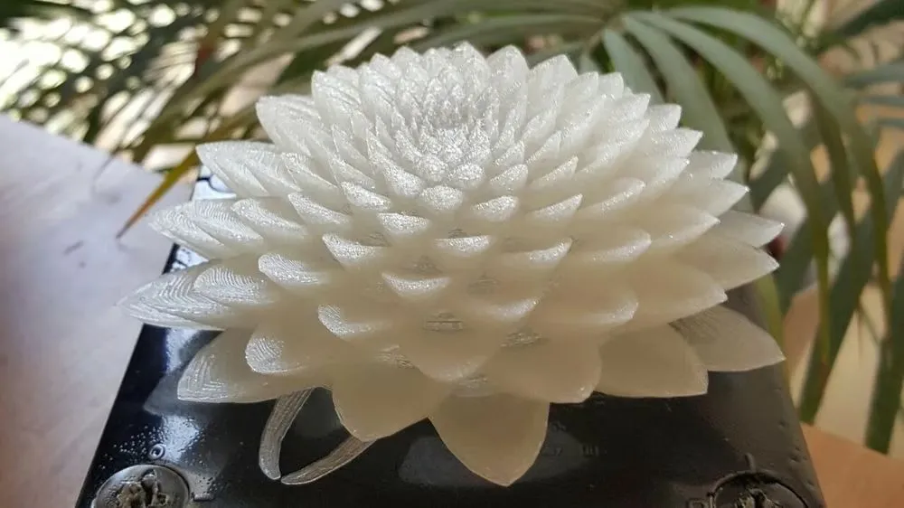 Blooms.jpg Blooms.jpg