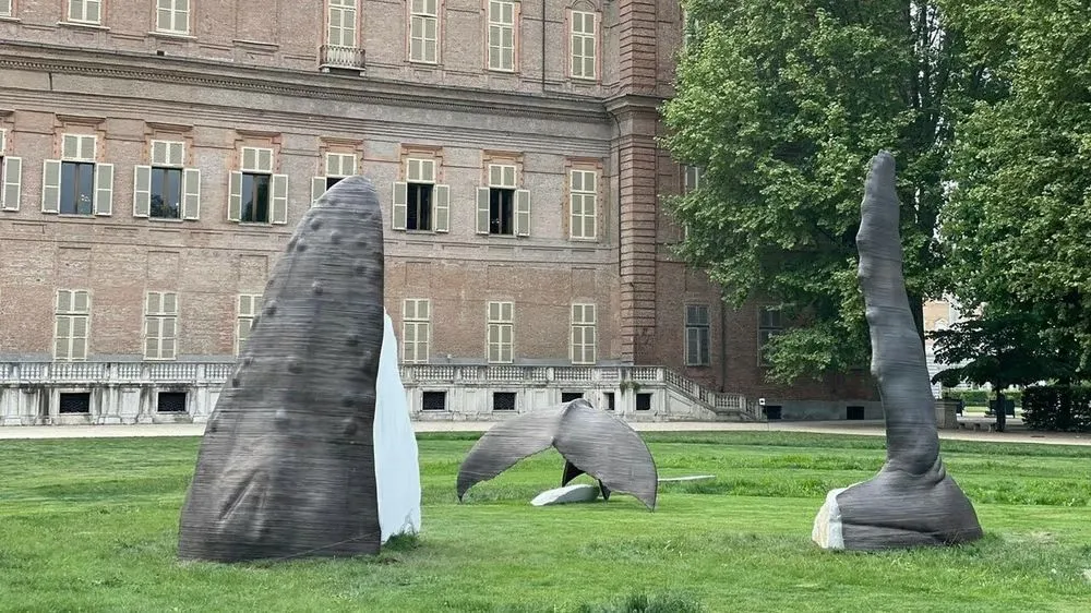 The-Whale-Pass.jpg The-Whale-Pass.jpg