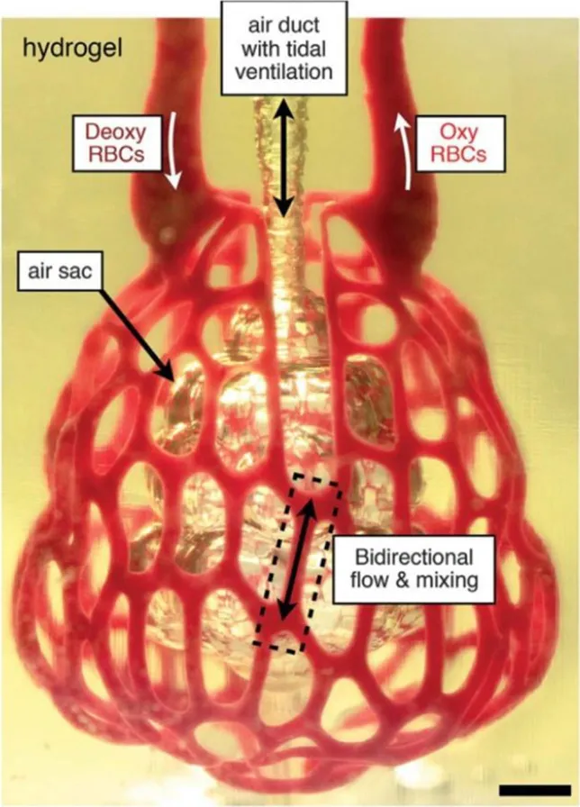 нио11.jpg нио11.jpg