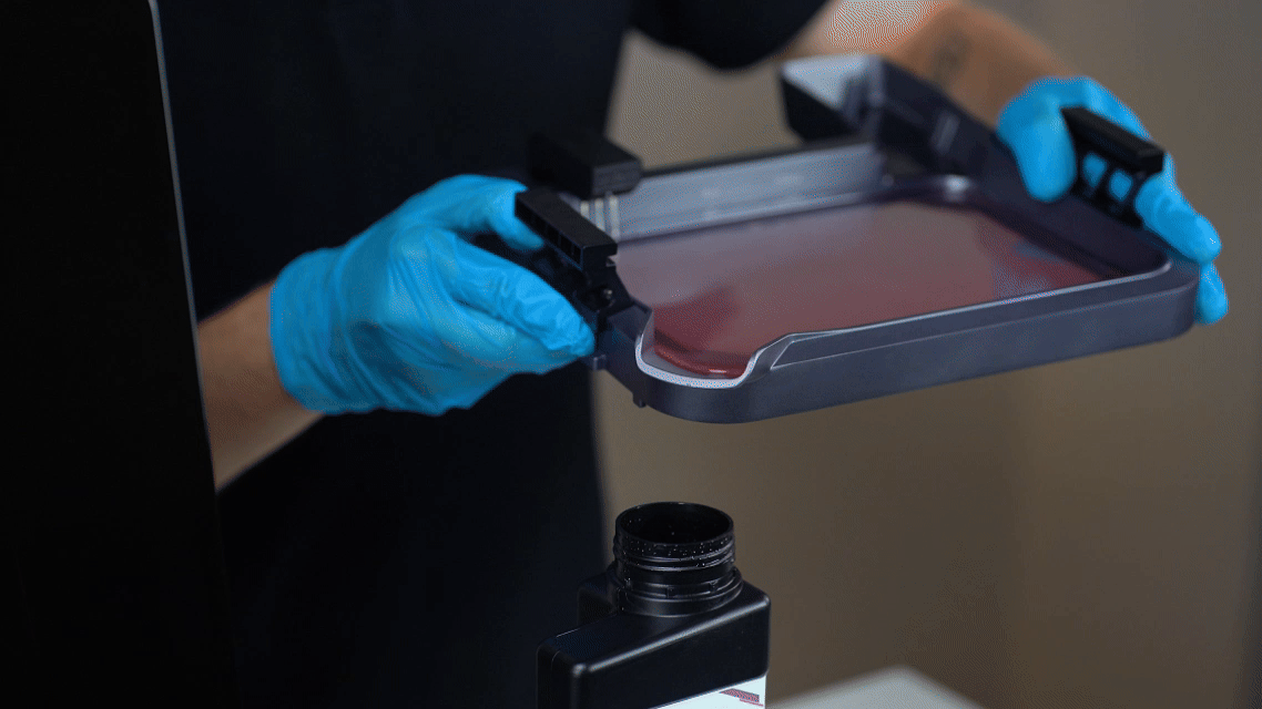 gif280825.gif gif280825.gif