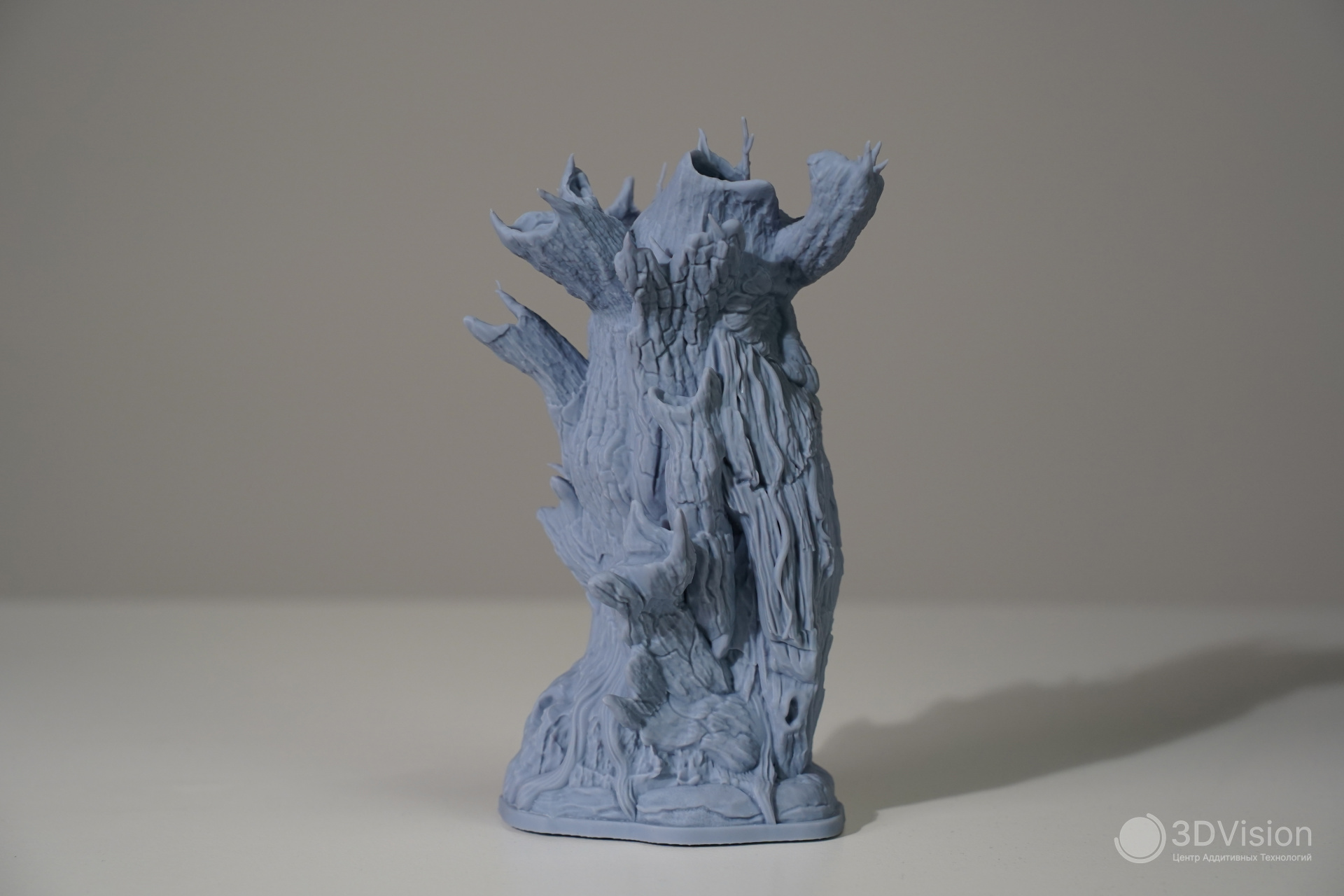 50.jpg